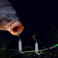 🎣⚡ Omvendt bunnrigg med dobbel krok! Oppgradert versjon øker opphakingshastigheten med 50 % - si farvel til å hekte seg fast! 🎣