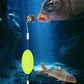 🎣⚡ Omvendt bunnrigg med dobbel krok! Oppgradert versjon øker opphakingshastigheten med 50 % - si farvel til å hekte seg fast! 🎣
