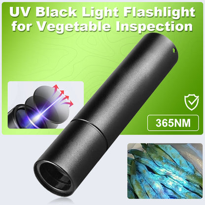 Ultrafiolett lommelykt for inspeksjon av planter 🔦🌿