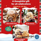 Julens nye gave leker🐂🎁Søt tegneserie Highland Cow kosete leketøy