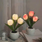 🔥LED Tulip Nattlys Blomsterbordlampe🌷✨