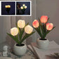 🔥LED Tulip Nattlys Blomsterbordlampe🌷✨