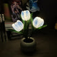 🔥LED Tulip Nattlys Blomsterbordlampe🌷✨